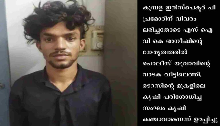 ടെറസിൽ കഞ്ചാവ് കൃഷി നടത്തിയ യുവാവ് അറസ്റ്റിൽ