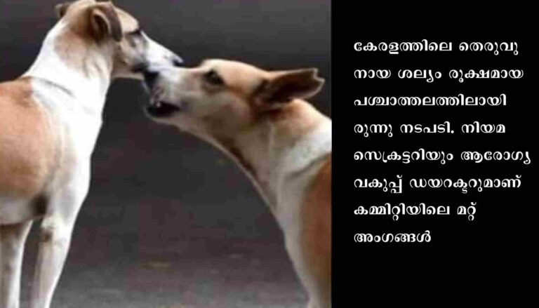 തെരുവുനായ കടിച്ചാൽ നഷ്ടപരിഹാരം നൽകാൻ കമ്മിറ്റി : കോടതി നിയോഗിച്ച കമ്മിറ്റിയോട് സർക്കാരിനും അവഗണന