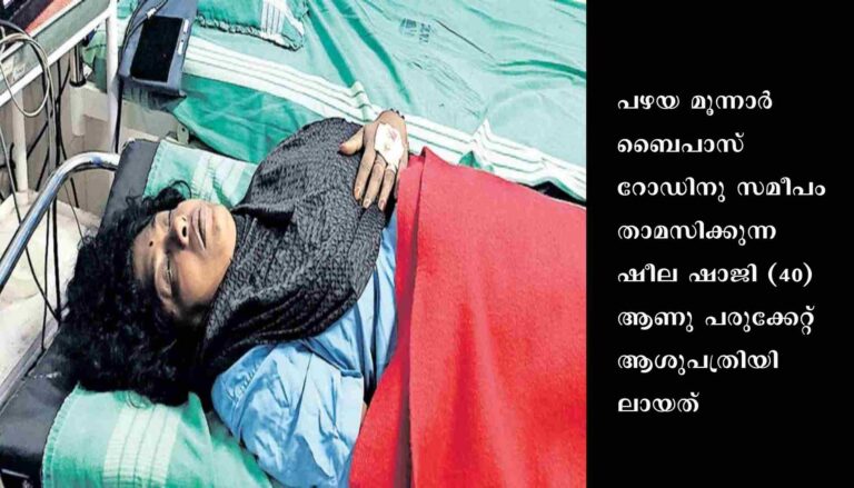 മൂന്നാറിൽ അൻപതോളം തൊഴിലാളികൾ നോക്കിനിൽക്കെ യുവതിക്കുനേരെ പുലിയുടെ ആക്രമണം