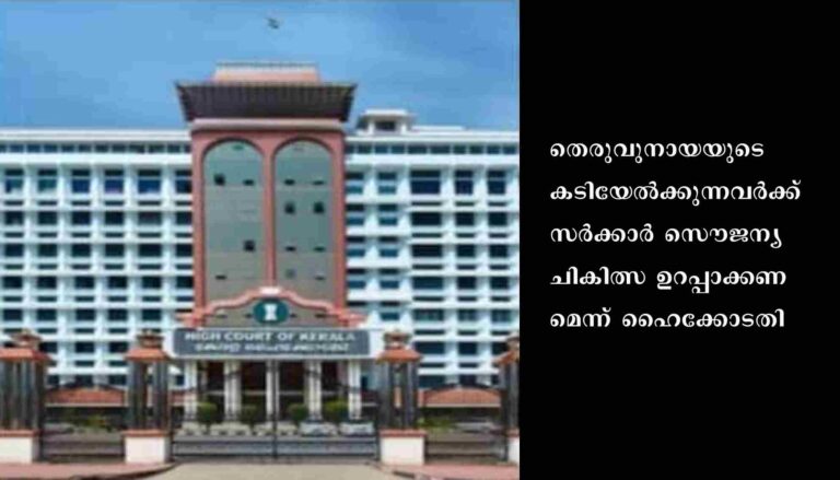 തെരുവുനായ്ക്കളെ കൊല്ലുന്നവർക്കെതിരെ കർശന നടപടി വേണമെന്ന് ആനിമൽ വെൽഫെയർ ബോർഡ് ഹൈക്കോടതിയിൽ