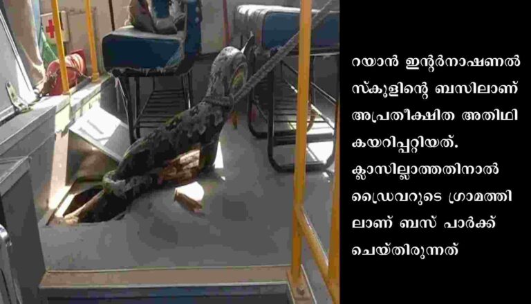 റായ്ബറേലിയില്‍ സ്‌കൂള്‍ ബസില്‍ കയറിയ പെരുമ്പാമ്പിനെ പിടികൂടി