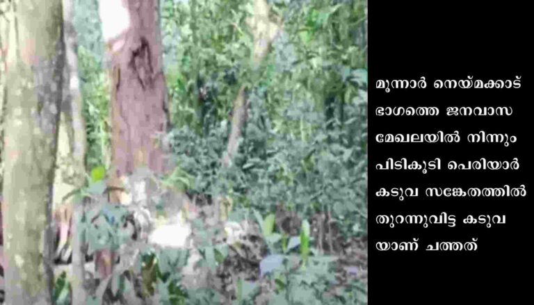 പെരിയാർ ജലാശയത്തിൽ കടുവയുടെ ജഡം കണ്ടെത്തി