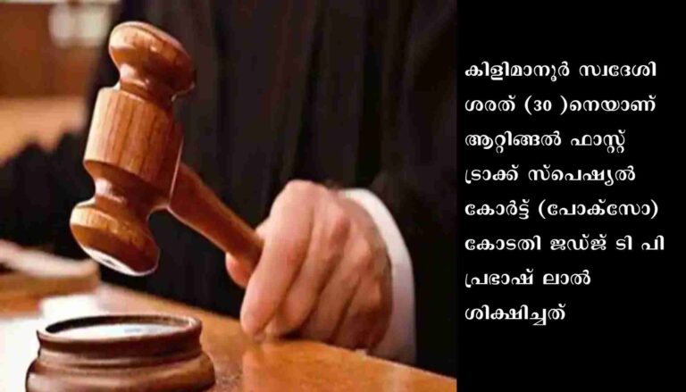 പ്രായപൂർത്തിയാകാത്ത പെൺകുട്ടിയെ പീഡിപ്പിച്ച കേസ്: പ്രതിക്ക് പത്ത് വർഷം കഠിനതടവും 25,000 രൂപ പിഴയും ശിക്ഷ