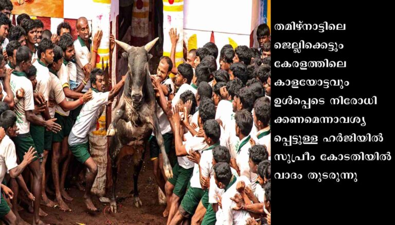 ജെല്ലിക്കെട്ടും കാളയോട്ടവും: സുപ്രീം കോടതിയില്‍ വാദം തുടരുന്നു