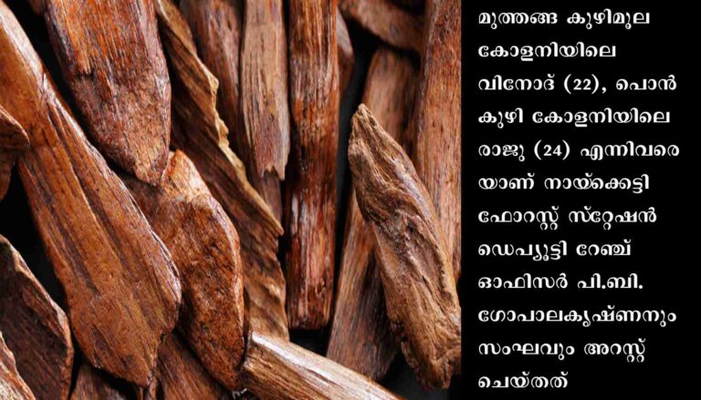 ചന്ദന മോഷണക്കേസില്‍ രണ്ടു പേര്‍ അറസ്റ്റില്‍