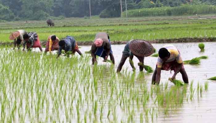 കാർഷിക സെൻസസ്: വിളംബര ജാഥ ബുധനാഴ്ച