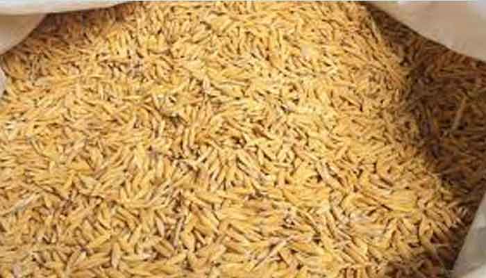 രണ്ടാം വിള നെല്ല് സംഭരണം – കർഷക രജിസ്‌ട്രേഷൻ ആരംഭിച്ചു