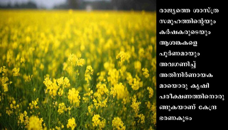 ജി എം കടുക് കൃഷിയിടത്തിലേക്ക് എത്തുമ്പോള്‍