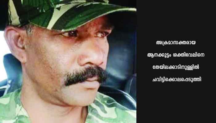 ഒട്ടേറെ ജീവന്‍ രക്ഷിച്ച ശക്തിവേലിനെ കാട്ടാനക്കൂട്ടം കൊലപ്പെടുത്തി