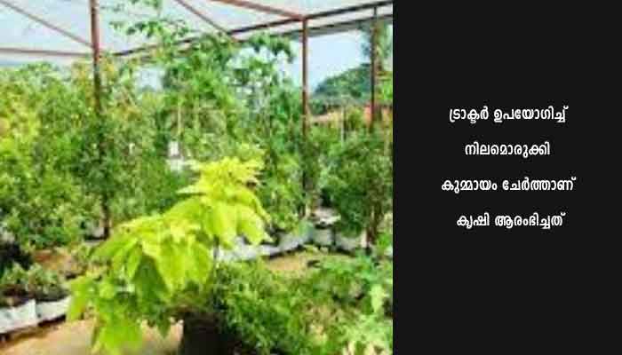 ഞങ്ങളും കൃഷിയിലേക്ക്: ചെറുവണ്ണൂരിൽ ജൈവ പച്ചക്കറി കൃഷി ആരംഭിച്ചു