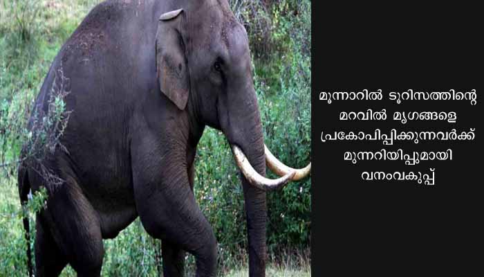 പടയപ്പയെ പ്രകോപിക്കുന്നവർക്കെതിരെ ജാമ്യമില്ലാ കുറ്റം ചുമത്താൻ തീരുമാനം