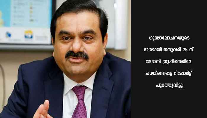 ഹിന്‍ഡന്‍ബര്‍ഗ് സ്ഥാപകനെതിരേ പൊതുതാല്‍പര്യ ഹര്‍ജി