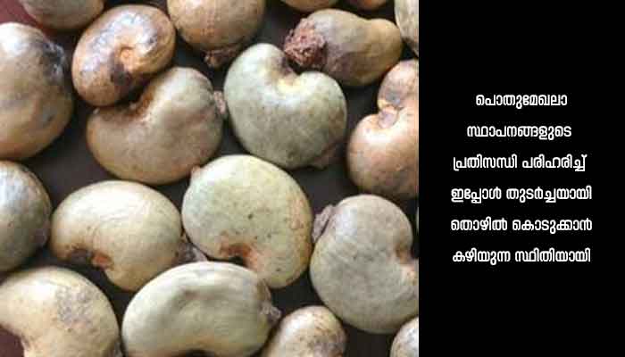 കൊല്ലം: കശുവണ്ടിവ്യവസായികളുടെ  സമരം ജനങ്ങളെ തെറ്റിദ്ധരിപ്പിക്കാന്‍