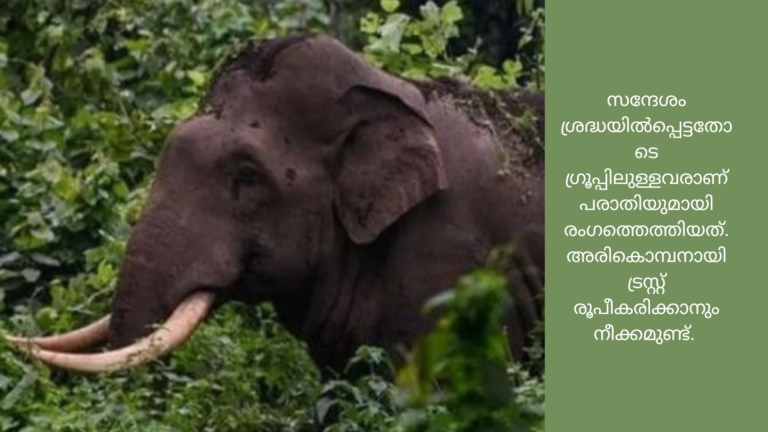 അരികൊമ്പനായി പണപ്പിരിവ്; എട്ടുലക്ഷം പിരിച്ചതായി പരാതി