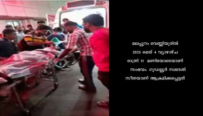 ബംഗ്ലൂരുവിലേക്ക് പോകുന്ന ബസിൽ യുവതിക്ക് നേരെ ആക്രമണം