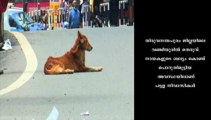 കേരളത്തിൽ തെരുവ്നായ ആക്രമണം രൂക്ഷമാവുന്നു