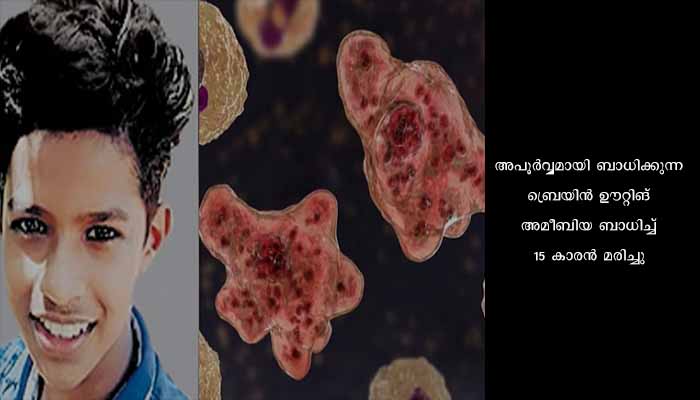 ആലപ്പുഴയിൽ അപൂർവ്വ രോഗം ബാധിച്ച 15കാരൻ മരിച്ചു, വെള്ളത്തിലൂടെ പകരുന്ന രോഗം, ജാഗ്രത വേണം