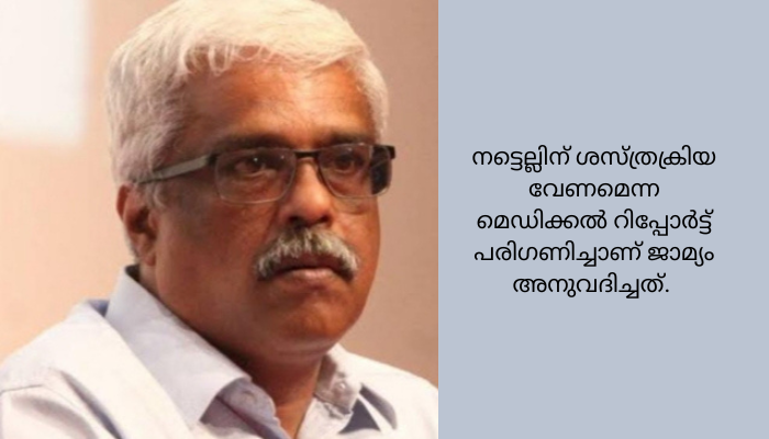 ഇഡി വാദം സുപ്രീംകോടതി തള്ളി, ലൈഫ് മിഷൻ കേസിൽ എം ശിവശങ്കറിന് ഇടക്കാല ജാമ്യം