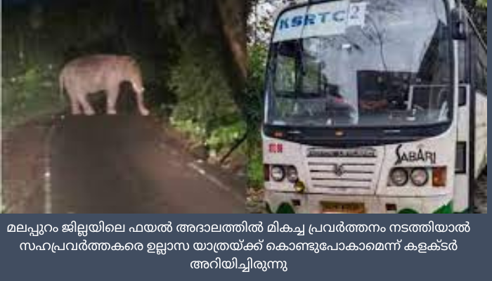 മലപ്പുറം ജില്ലാ കളക്ടറേയും സംഘത്തേയും വഴിയില്‍ തടഞ്ഞ് ഒറ്റയാൻ