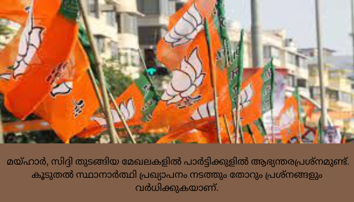 സ്ഥാനാര്‍ത്ഥിയെ മാറ്റണമെന്നാവശ്യപ്പെട്ട് പ്രതിഷേധം; മധ്യപ്രദേശില്‍ ബിജെപിയില്‍ കലഹം