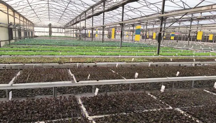 ഇസ്രയേൽ നാനോ കൃഷിരീതി പരിശീലനം ശാന്തൻപാറയിലും