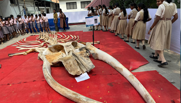 കടലാഴങ്ങളിലെ വിസ്മയ കാഴ്ചകൾ സമ്മാനിച്ച് സിഎംഎഫ്ആർഐ പ്രദർശനം