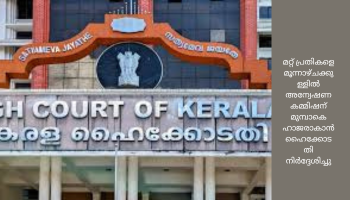 പാതിവില തട്ടിപ്പ് കേസിൽ കോണ്‍ഗ്രസ് നേതാവ് ലാലി വിന്‍സന്റിന് മുന്‍കൂര്‍ ജാമ്യം അനുവദിച്ച് ഹൈക്കോടതി