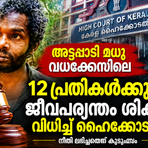 അട്ടപ്പാടി മധു വധക്കേസിലെ 12 പ്രതികള്‍ക്കും ജീവപര്യന്തം ശിക്ഷ വിധിച്ച് ഹൈക്കോടതി