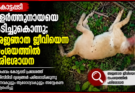 കോട്ടപ്പടിയിൽ വളർത്തുനായയെ കടിച്ചുകൊന്നു; അജ്ഞാത ജീവിയെന്ന സംശയത്തിൽ പരിശോധന