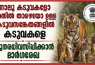 നാലു കടുവകളോ അതിൽ താഴെയോ ഉള്ള കടുവസങ്കേതങ്ങളിൽ കടുവകളെ പുനരധിവസിപ്പിക്കാൻ മാർഗരേഖ, കേരളത്തിൽ പുതിയ കടുവ സങ്കേതങ്ങൾ വന്നേക്കാം