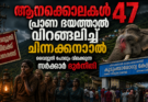 ആനക്കൊലകൾ 47 , പ്രാണ ഭയത്താൽ വിറങ്ങലിച്ച് ചിന്നക്കനാൽ – വൈദ്യുതി പോലും വിലക്കുന്ന സർക്കാർ ദുർനീതി