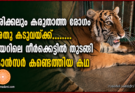 ഒരിക്കലും കരുതാത്ത രോഗം, അതും കടുവയ്ക്ക് വയറിലെ നീർക്കെട്ടിൽ തുടങ്ങി കാൻസർ കണ്ടെത്തിയ കഥ