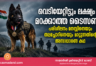വെടിയേറ്റിട്ടും ലക്ഷ്യം മറക്കാത്ത ടൈസൺ; പരിശീലനം മനസ്സിനെയും തലച്ചോറിനെയും മാറ്റുന്നതിന്റെ അസാധാരണ കഥ