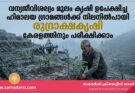 വന്യജീവിശല്യം മൂലം കൃഷി ഉപേക്ഷിച്ച ഹിമാലയ ഗ്രാമങ്ങൾക്ക് നിലനിൽപായി രുദ്രാക്ഷകൃഷി കേരളത്തിനും പരീക്ഷിക്കാം