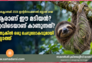 ആരാണ് ഈ മടിയൻ? എവിടെയാണ് കാണുന്നത്? മുതുകിൽ ഒരു ചെറുലോകവുമായി സ്ലോത്ത്